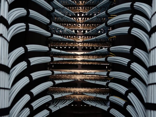 Image of neatly organized network cables in a server room